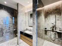 The Ritz-Carlton  (D9), Condominium #459403751